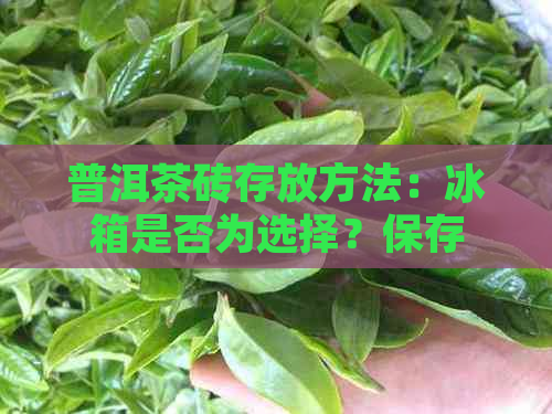 普洱茶砖存放方法：冰箱是否为选择？保存时间及技巧解析