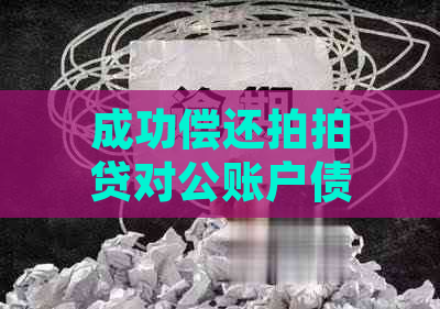 成功偿还对公账户债务的案例分析：详细步骤与经验分享