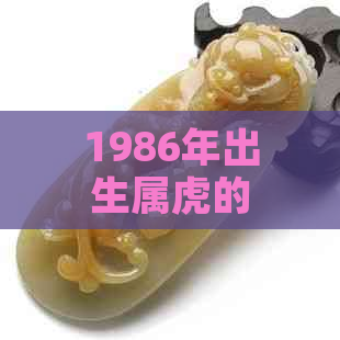 1986年出生属虎的人如何选择合适的招财转运物品？