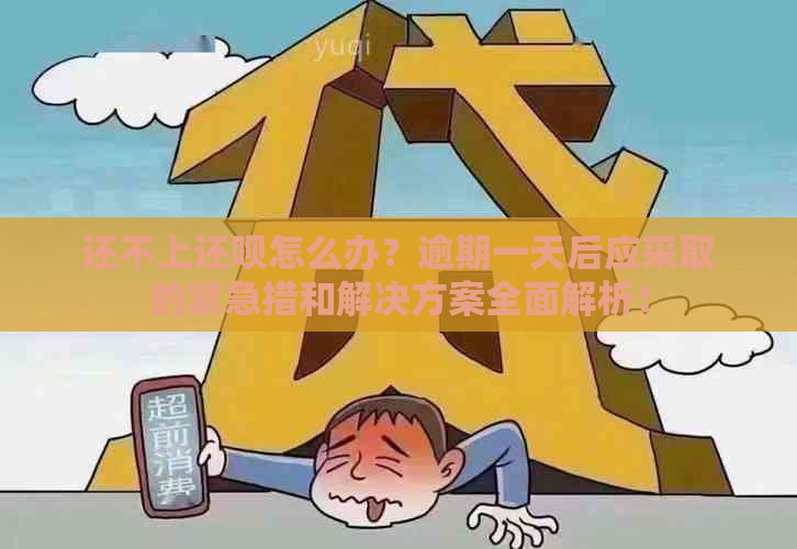 还不上还款怎么办？逾期一天后应采取的紧急措和解决方案全面解析！