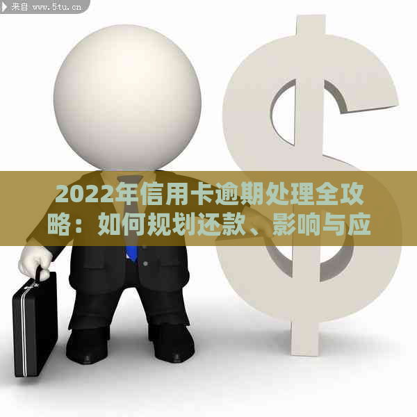 2022年信用卡逾期处理全攻略：如何规划还款、影响与应对措一文详解