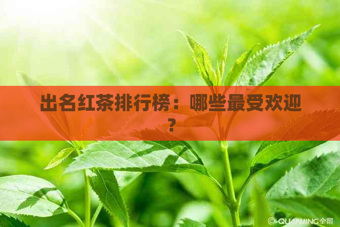 出名红茶排行榜：哪些更受欢迎？