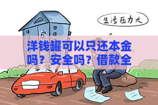 洋钱罐可以只还本金吗？安全吗？借款全额还款可行吗？