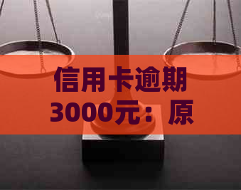 信用卡逾期3000元：原因、影响、解决方案以及如何预防类似问题发生