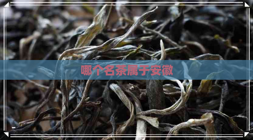 哪个名茶属于安徽