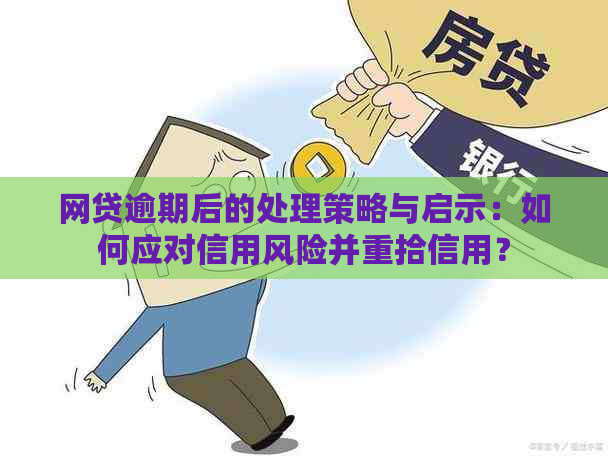 网贷逾期后的处理策略与启示：如何应对信用风险并重拾信用？