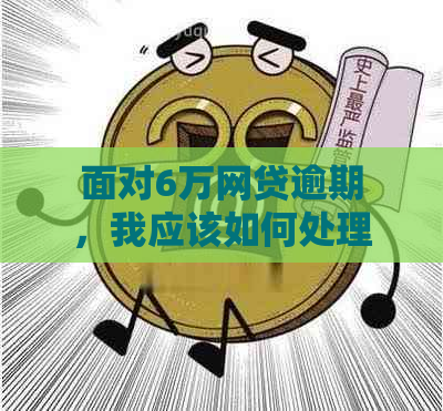 面对6万网贷逾期，我应该如何处理？这里有一份全面解决方案！