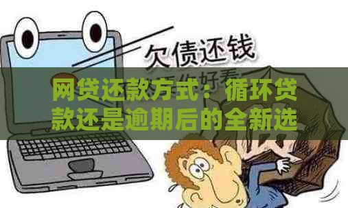 网贷还款方式：循环贷款还是逾期后的全新选择？