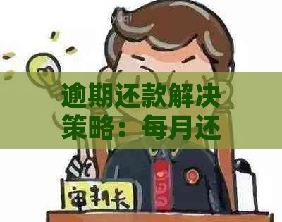 逾期还款解决策略：每月还几百元的合理安排与优化建议