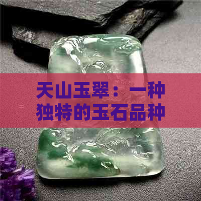 天山玉翠：一种独特的玉石品种？