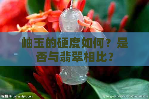 岫玉的硬度如何？是否与翡翠相比？