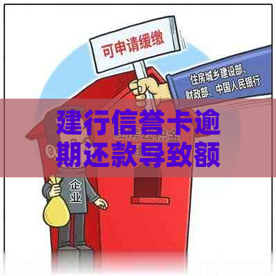 建行信誉卡逾期还款导致额外费用，如何解决？