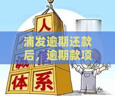 浦发逾期还款后，逾期款项已还清，但信用额度仍未恢复，如何解决？