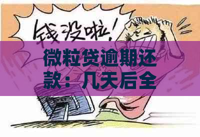 微粒贷逾期还款：几天后全额偿还？解答你的疑惑！