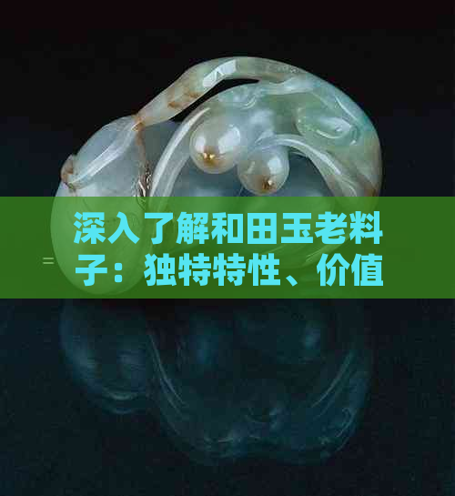 深入了解和田玉老料子：独特特性、价值及选购技巧全解析