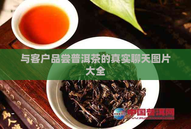 与客户品尝普洱茶的真实聊天图片大全