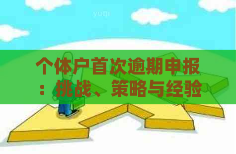 个体户首次逾期申报：挑战、策略与经验分享