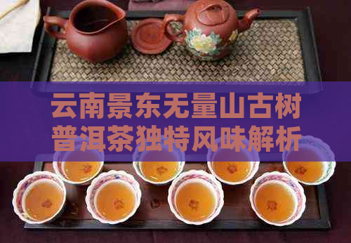 云南景东无量山古树普洱茶独特风味解析与品鉴