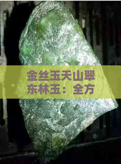 金丝玉天山翠东林玉：全方位解析与欣赏