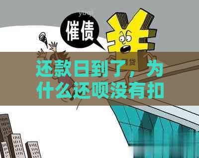 还款日到了，为什么还呗没有扣款？我该怎么办？