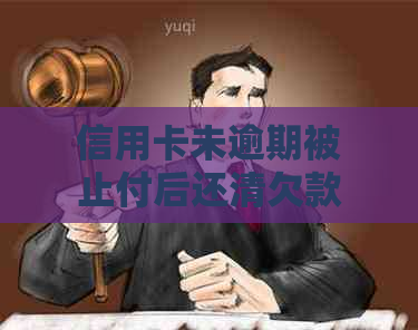 信用卡未逾期被止付后还清欠款能否解冻？安全吗？怎么办？