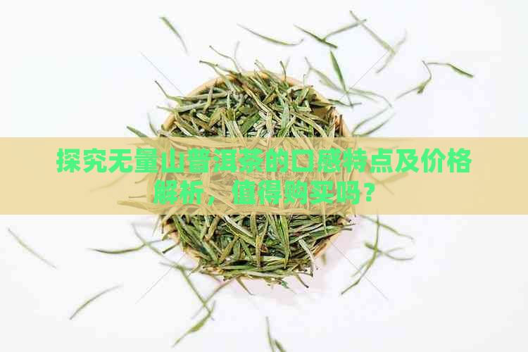 探究无量山普洱茶的口感特点及价格解析，值得购买吗？