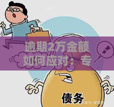 逾期2万金额如何应对：专业建议与解决办法