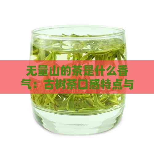 无量山的茶是什么香气：古树茶口感特点与出名品种解析