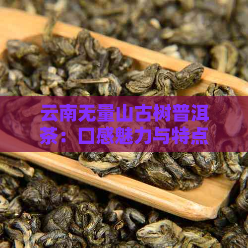 云南无量山古树普洱茶：口感魅力与特点解析，探索其价格与名声背后的故事