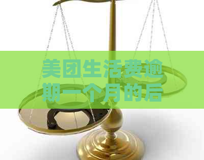 美团生活费逾期一个月的后果及解决方法，用户必备指南