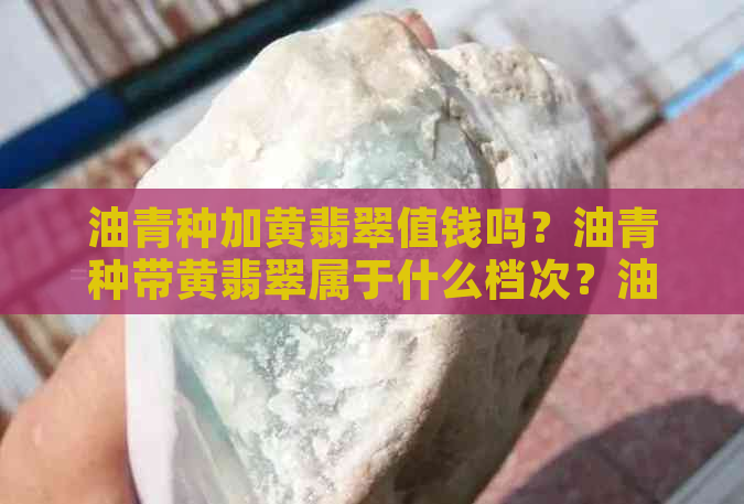 油青种加黄翡翠值钱吗？油青种带黄翡翠属于什么档次？油青种翡翠好不好？