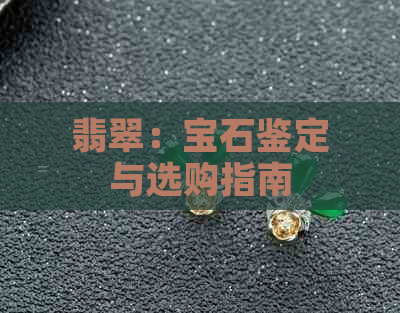 翡翠：宝石鉴定与选购指南