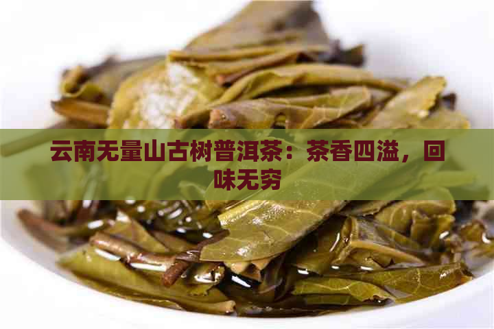 云南无量山古树普洱茶：茶香四溢，回味无穷