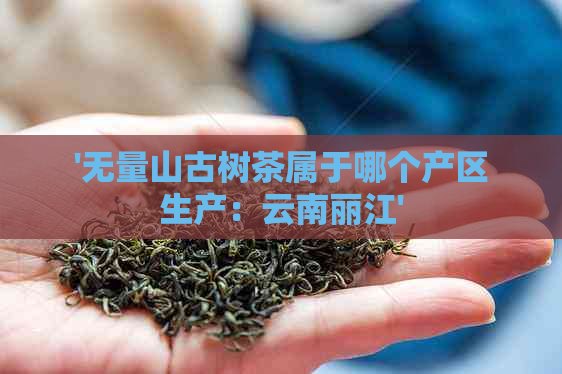 '无量山古树茶属于哪个产区生产：云南丽江'