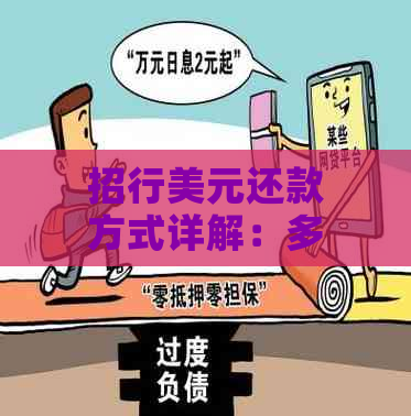 招行美元还款方式详解：多种选择助您轻松还贷