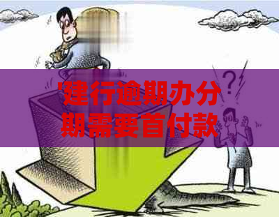 '建行逾期办分期需要首付款吗？60期分期多少钱，处理时间是多久？'