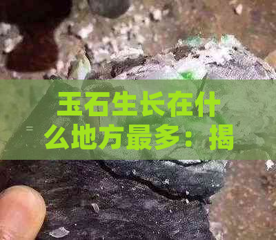 玉石生长在什么地方最多：揭示其主要分布环境