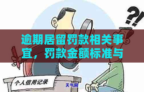 逾期居留罚款相关事宜，罚款金额标准与缴纳地点详解