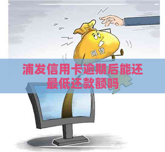 浦发信用卡逾期后能还更低还款额吗