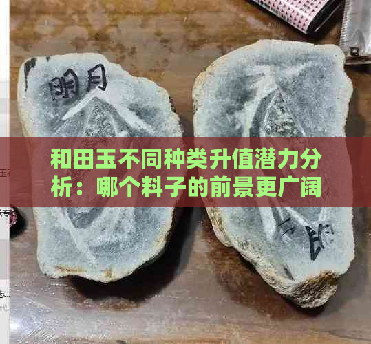 和田玉不同种类升值潜力分析：哪个料子的前景更广阔？