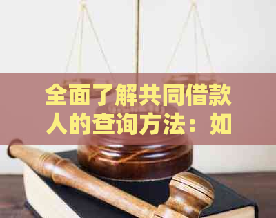 全面了解共同借款人的查询方法：如何获取相关信息、注意事项及处理流程