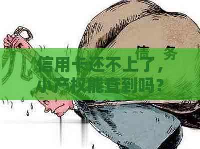 信用卡还不上了，小产权能查到吗？请专业人士解答。