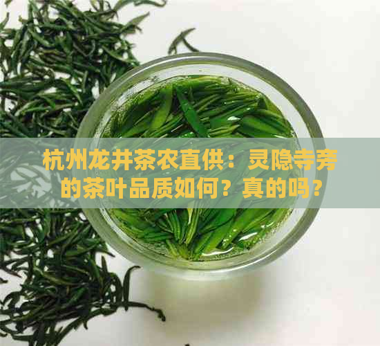 杭州龙井茶农直供：灵隐寺旁的茶叶品质如何？真的吗？