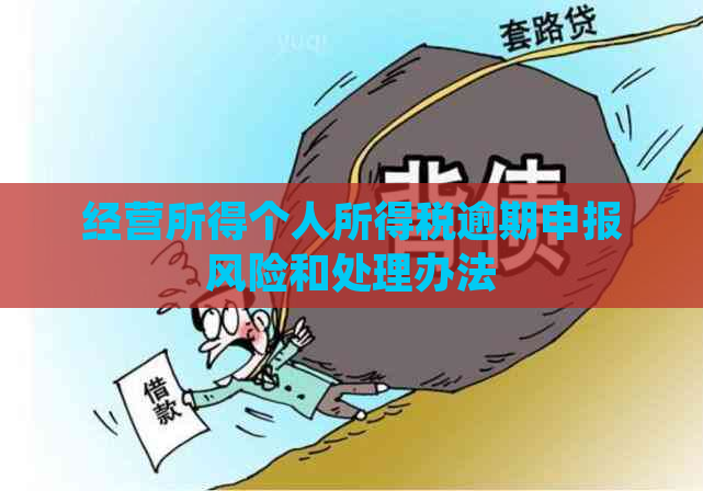 经营所得个人所得税逾期申报风险和处理办法