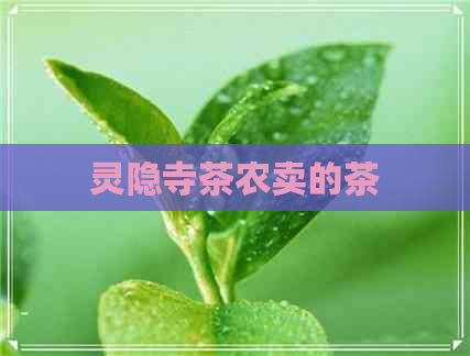 灵隐寺茶农卖的茶