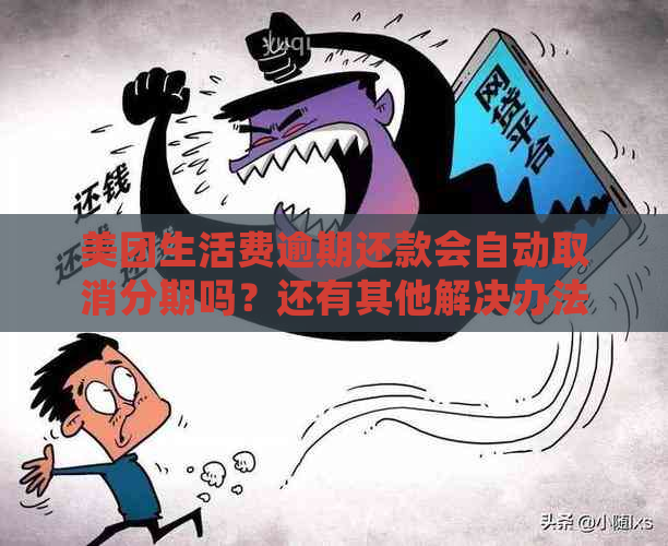 美团生活费逾期还款会自动取消分期吗？还有其他解决办法？