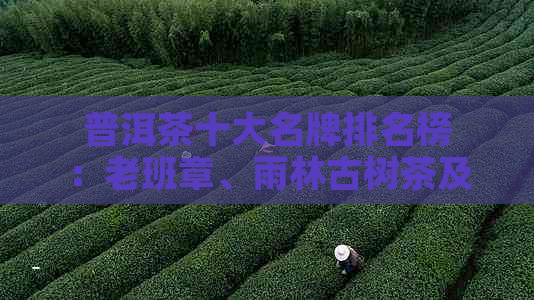 普洱茶十大名牌排名榜：老班章、雨林古树茶及价格，等信息。