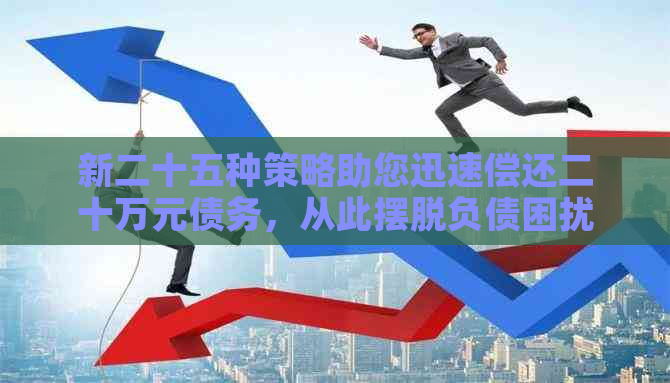 新二十五种策略助您迅速偿还二十万元债务，从此摆脱负债困扰