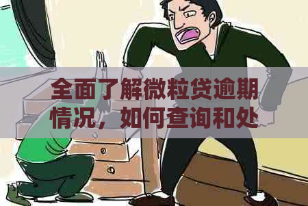 全面了解微粒贷逾期情况，如何查询和处理？