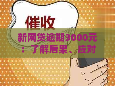 新网贷逾期3000元：了解后果、应对策略和解决方法，助您顺利还清债务